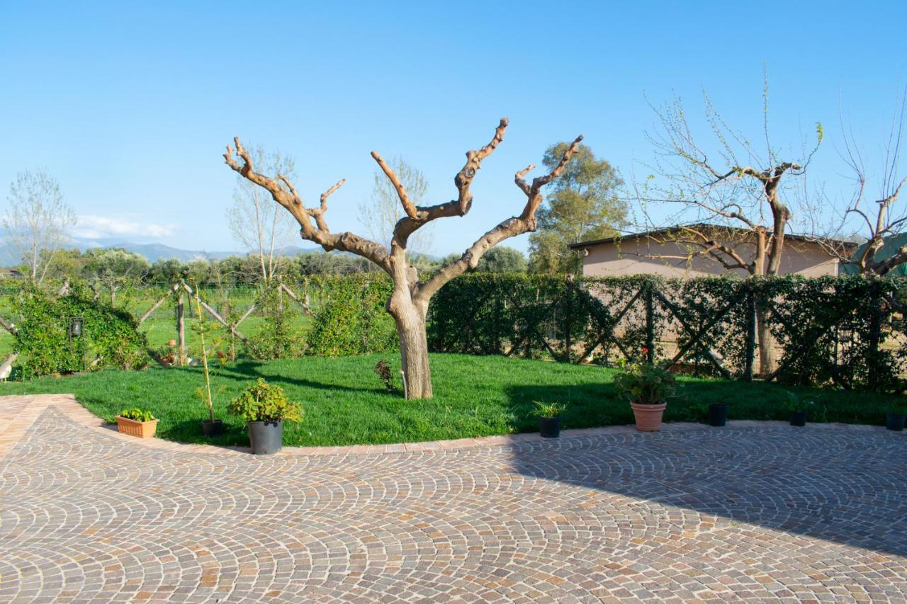 Camera Iris - B&B Antico Casale Monte San Biagio Exterior photo