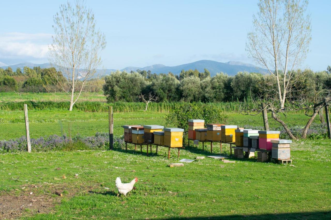 Camera Iris - B&B Antico Casale Monte San Biagio Exterior photo